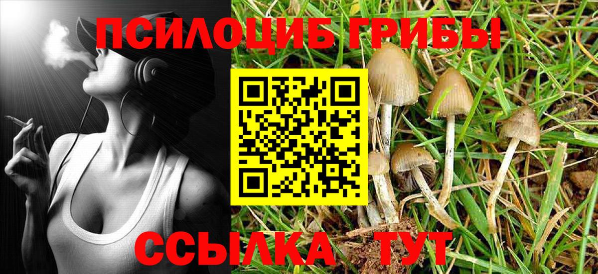 Псилоцибиновые грибы Magic Shrooms  Вход с VPN  Аксай 