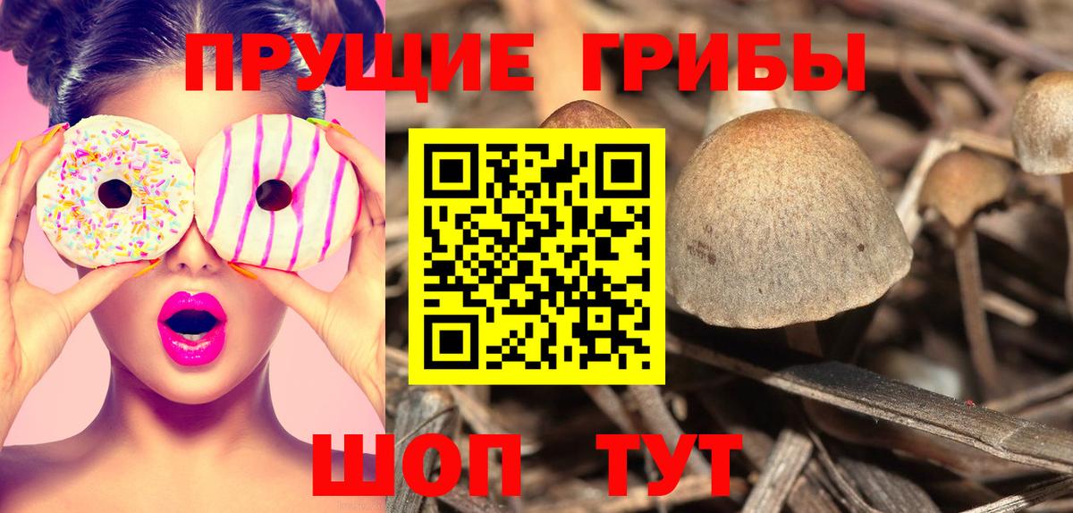 Псилоцибиновые грибы ЛСД Аксай